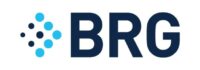 BRG Financial Institution Advisory Practice Adds Managing Director Michael Hollerich BRG Financial Institution Advisory Practice Adds Managing Director Michael Hollerich