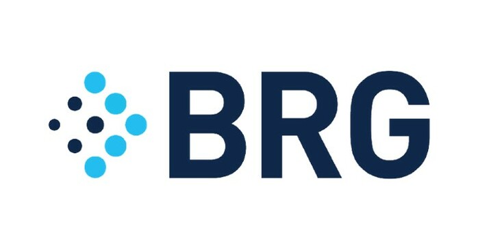 BRG Financial Institution Advisory Practice Adds Managing Director Michael Hollerich BRG Financial Institution Advisory Practice Adds Managing Director Michael Hollerich