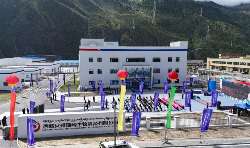 Angel Yeast se expande hacia I+D y producción de probióticos y avanza en la transformación biotecnológica