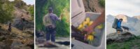 Emergent Media and Pacifico® Clara Expand Partnership with National Campaign