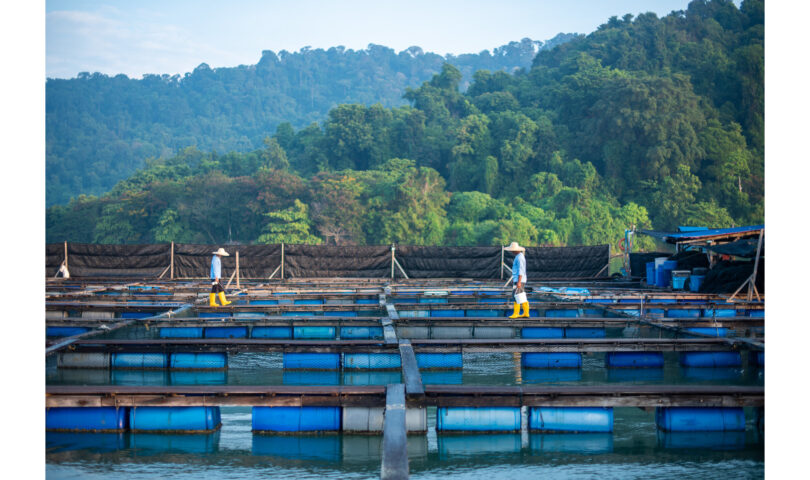GSA Releases 2023 Annual Report Highlighting Continued Commitment to Responsible Seafood Practices