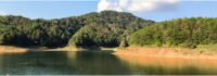 how Hikvision’s innovations are safeguarding wetlands