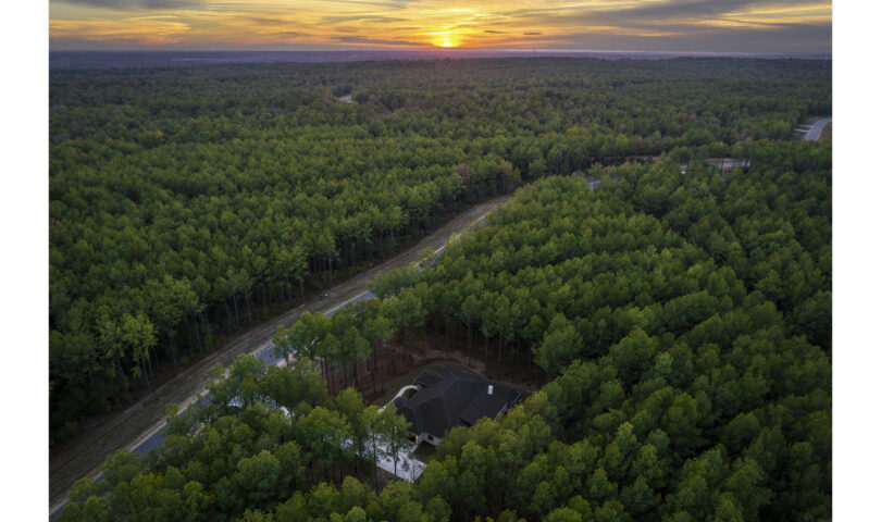 Republic Elegant Ranch Launches ‘The place The Jungle Meets Luxurious’–Customized Houses Thoughtfully Designed with Nature in Thoughts