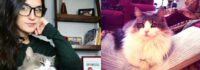 Petco Love and BOBS® from Skechers® Announce 2024 Petco Love Stories Campaign