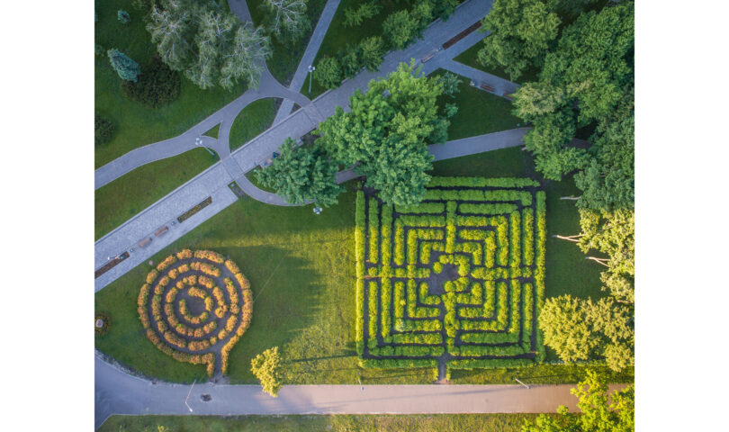 Insurance coverage leaders agree that fast adoption of generative AI is vital to compete, however insurance coverage consumers specific reservations