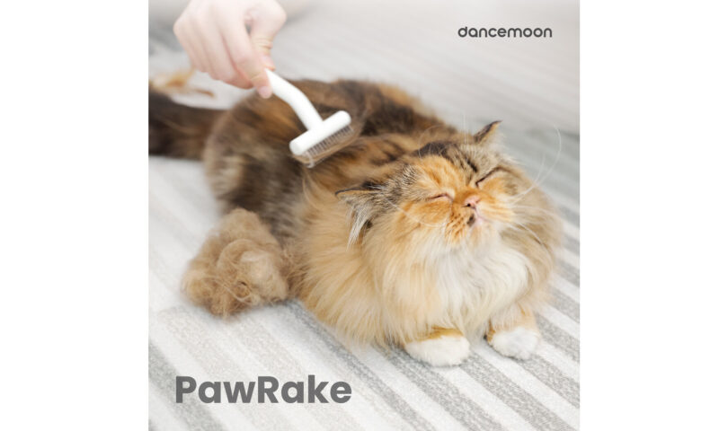 dancemoon Launches Its First PawRake Designed for Direct Use on Medium-Long Haired Pets