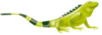 Ecopetrol announces the completion of the transaction with Repsol to acquire 45% of its participation in Block CPO-09