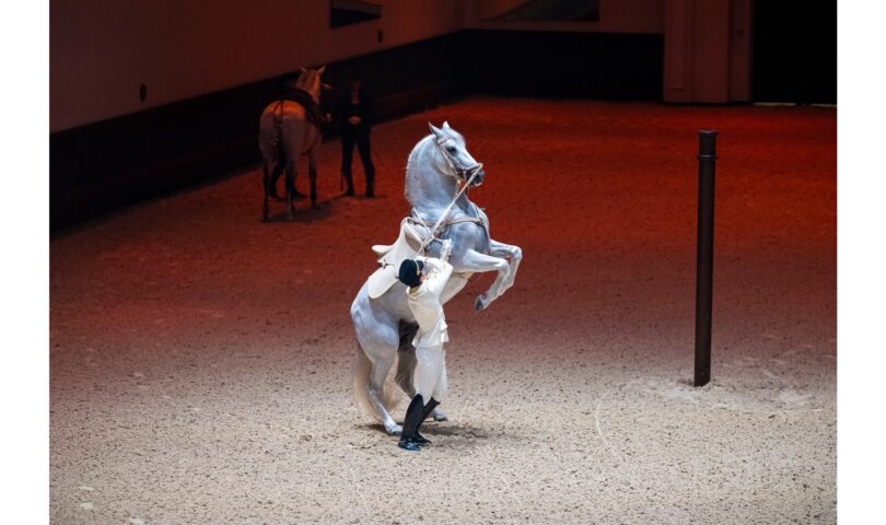 Abu Dhabi Royal Equestrian Arts, la cinquième école d’équitation classique au monde, ouvre officiellement ses portes Abu Dhabi Royal Equestrian Arts, la cinquième école d’équitation classique au monde, ouvre officiellement ses portes