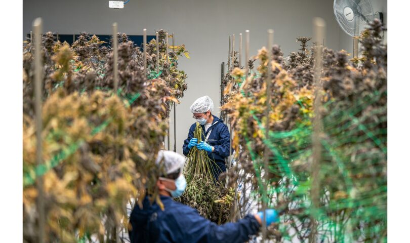 Elevate Holistics Highlights America’s “Green Workforce” Opportunity — CEO Aspen Noonan Calls for Skilled Talent to Drive the Cannabis Industry’s Next Phase