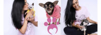 Global Child “Travel & Purpose” & Picolinis Animal Rescue Siblings Unite to Protect Miami’s Precious Pets Global Child “Travel & Purpose” & Picolinis Animal Rescue Siblings Unite to Protect Miami’s Precious Pets