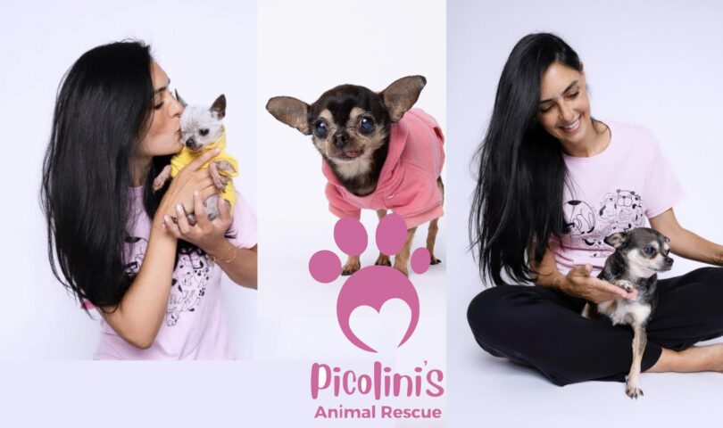 Global Child “Travel & Purpose” & Picolinis Animal Rescue Siblings Unite to Protect Miami’s Precious Pets Global Child “Travel & Purpose” & Picolinis Animal Rescue Siblings Unite to Protect Miami’s Precious Pets