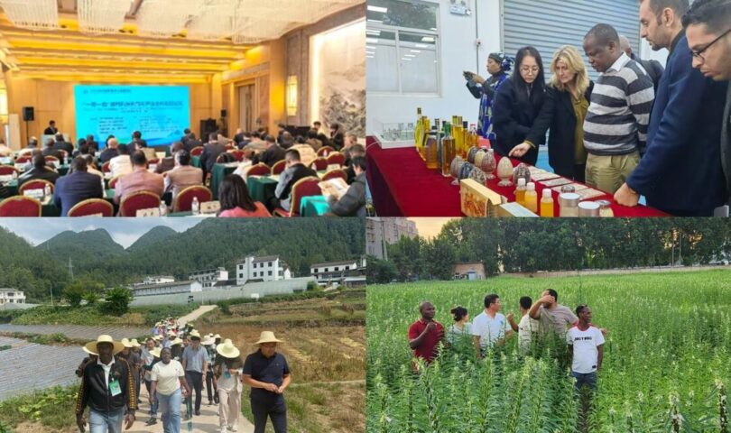 Bybit Partners with Komainu to Offer 24/7 Secure Trading of Segregated Assets Under Custody for Institutional Investors